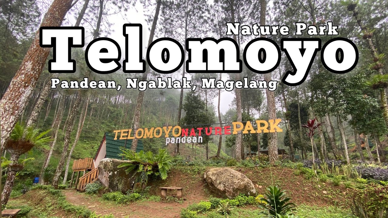 Telomoyo Nature Park: Surga Alam yang Menawan di Kaki Gunung Telomoyo